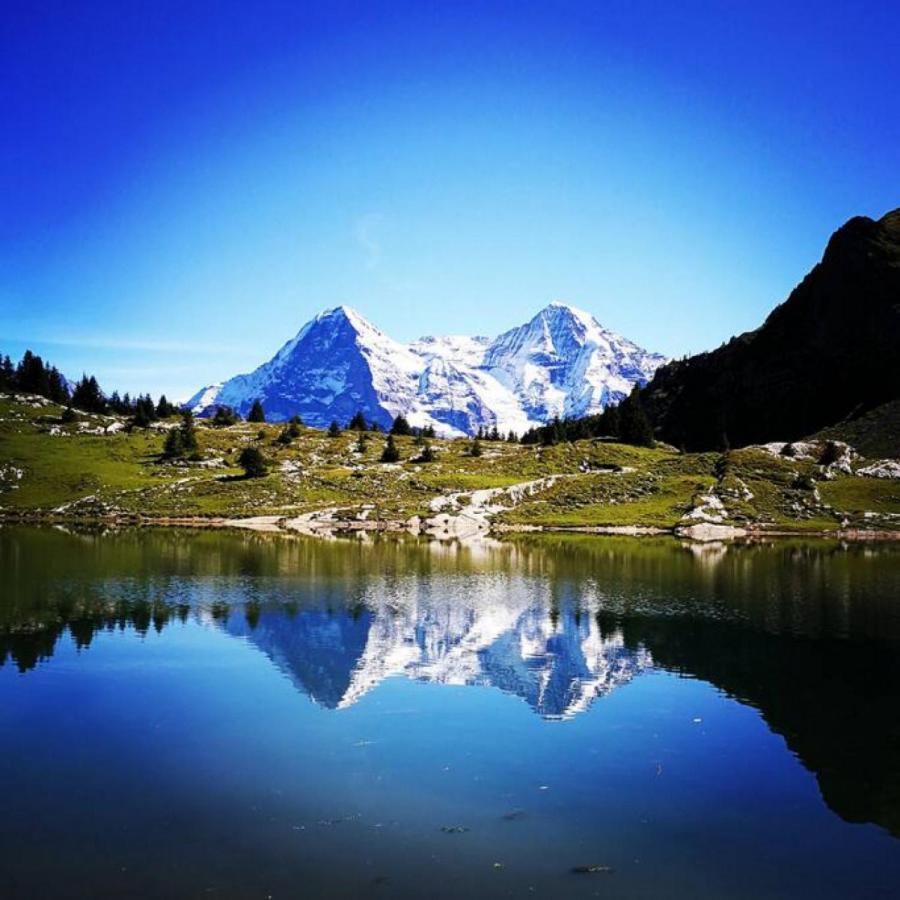 Därligen Swisshut Stunning Views Alps Lake - Chalet Erli מראה חיצוני תמונה