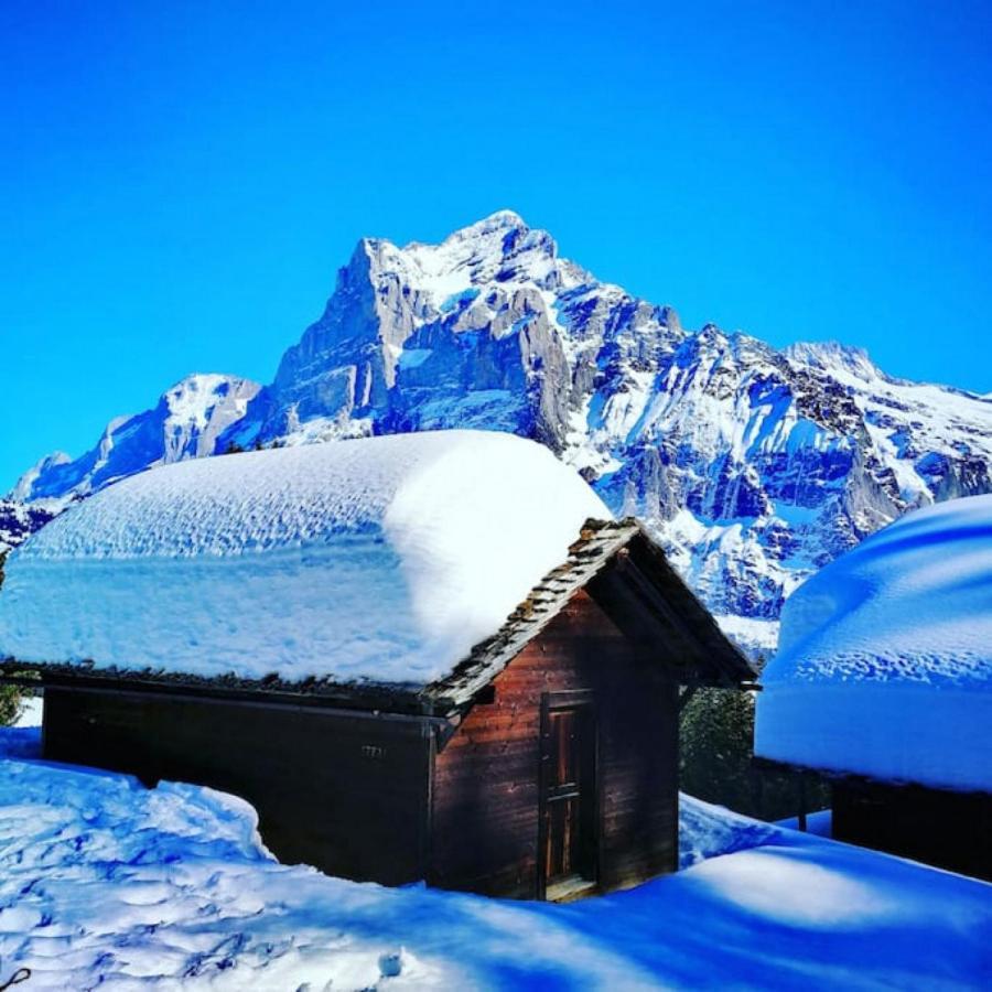 Därligen Swisshut Stunning Views Alps Lake - Chalet Erli מראה חיצוני תמונה