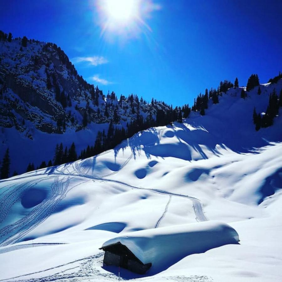 Därligen Swisshut Stunning Views Alps Lake - Chalet Erli מראה חיצוני תמונה