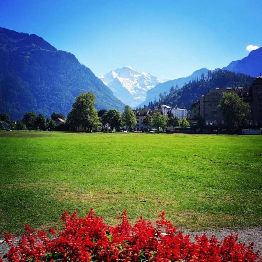 Därligen Swisshut Stunning Views Alps Lake - Chalet Erli מראה חיצוני תמונה